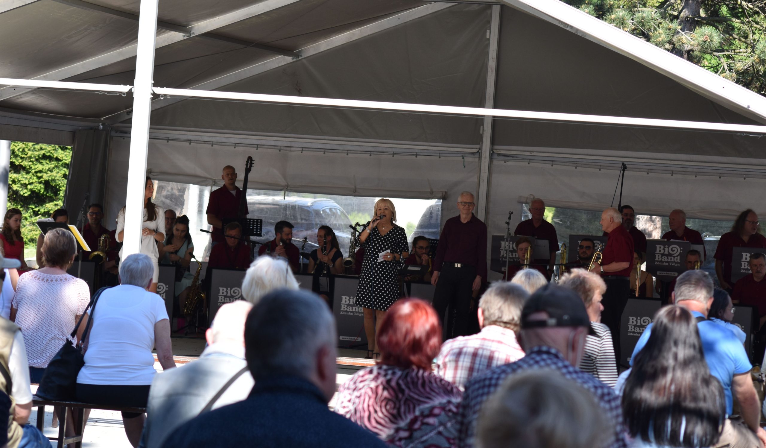 Promenádní koncert přilákal k poslechu desítky lidí