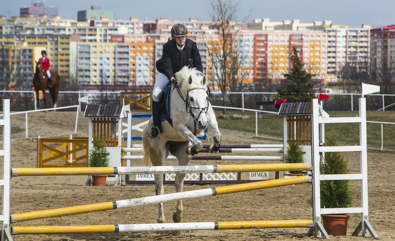 CHYSTÁ SE: Na Hipodromu v neděli startují dubnové parkurové závody