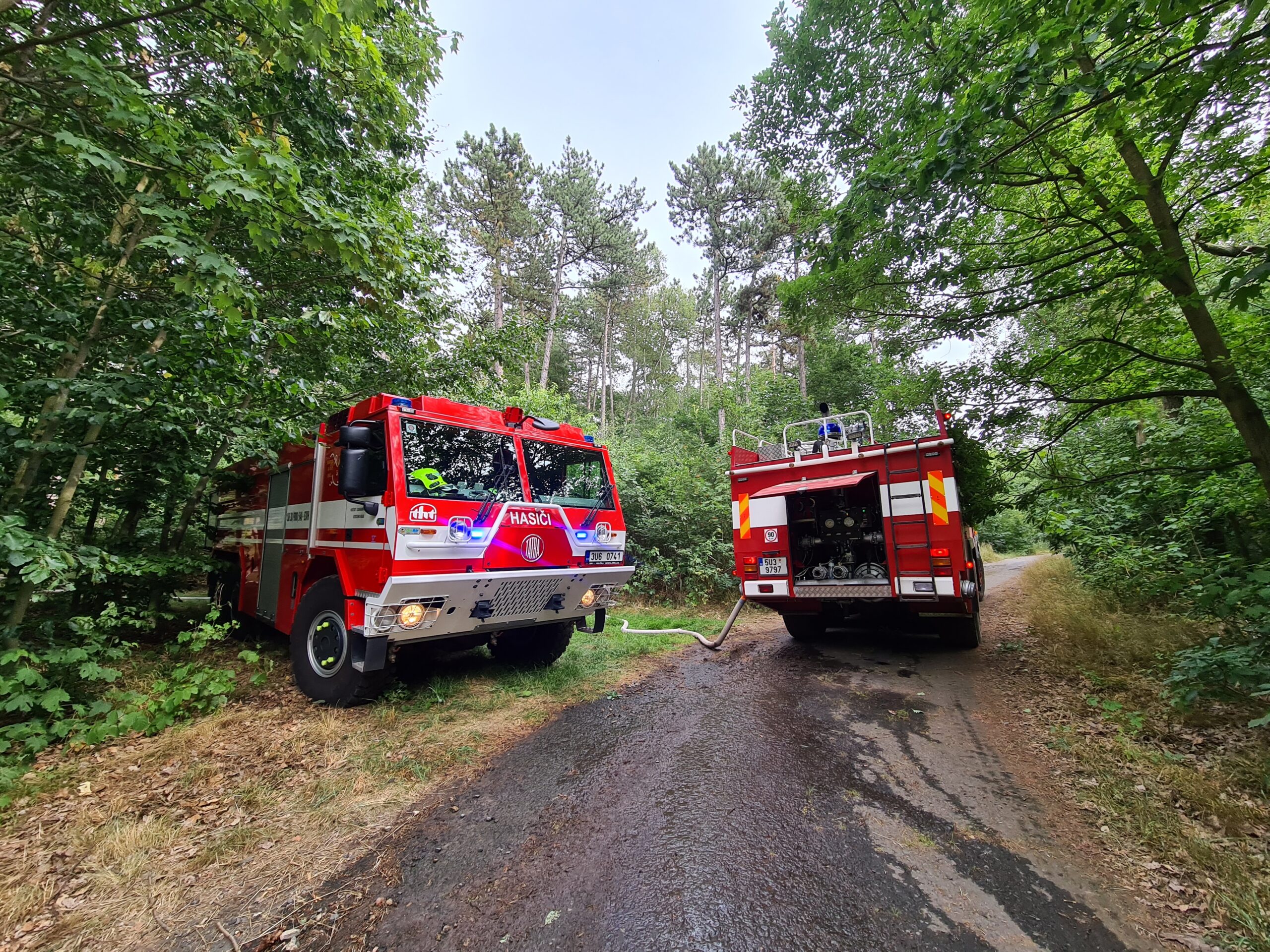 AKTUÁLNĚ: Hasiči bojují s požárem na vrchu Ressl