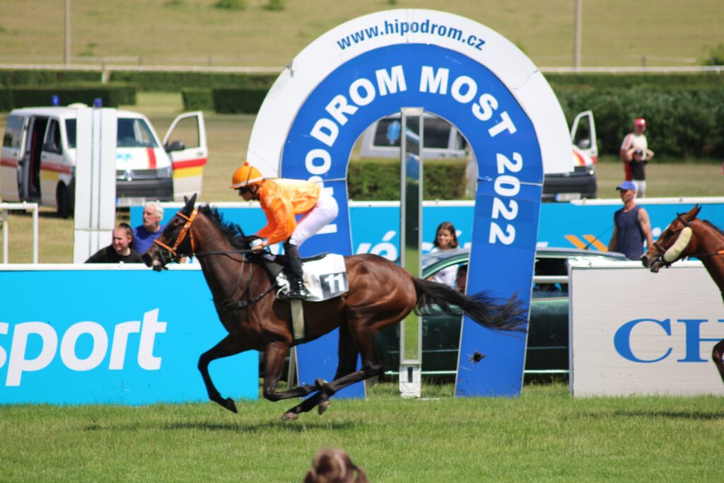 CHYSTÁ SE: Na Hipodromu bude další dostihový den
