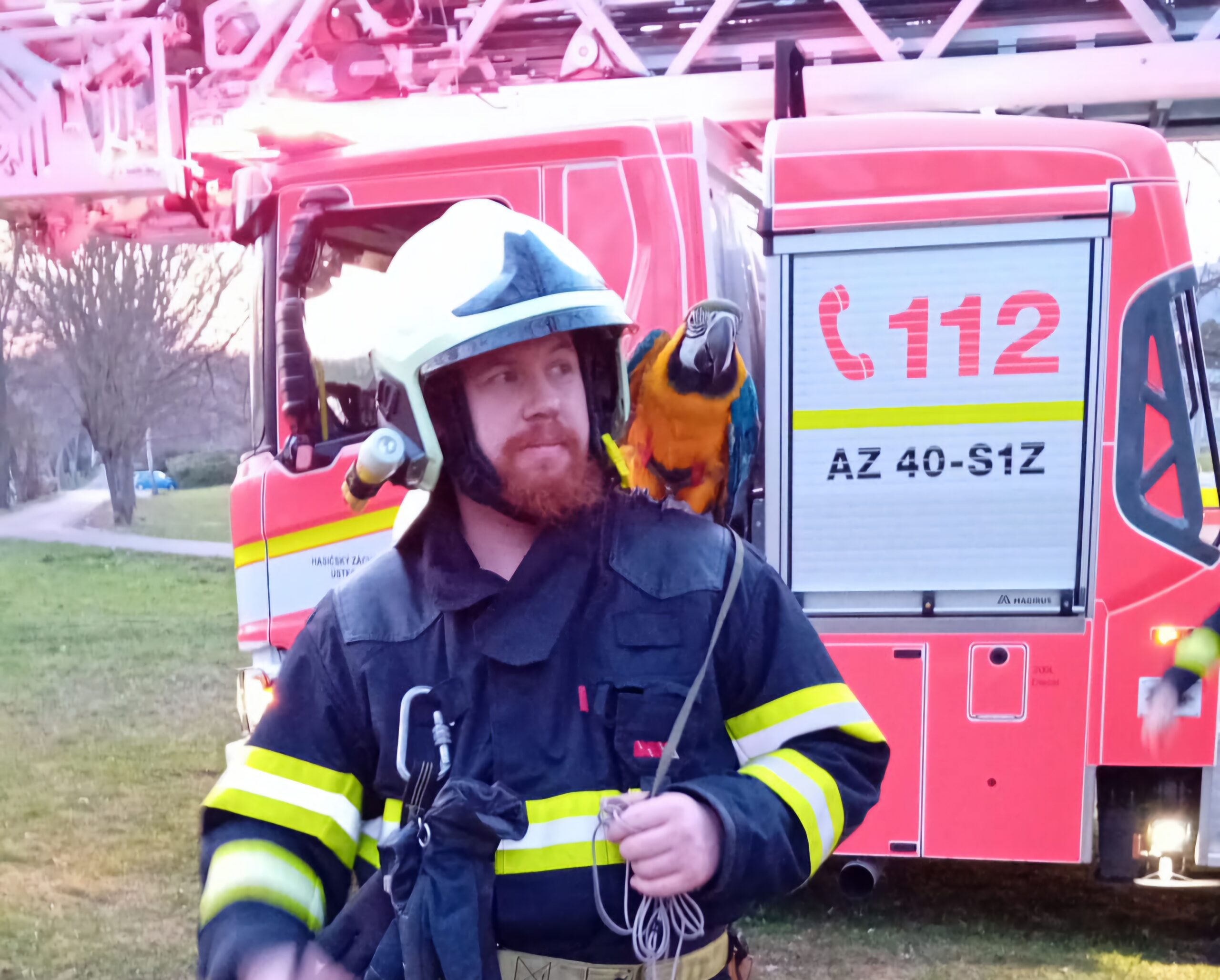 Papoušek v Mostě nadělal rozruch: Hasičům se ho nakonec povedlo odchytit a vrátit majiteli