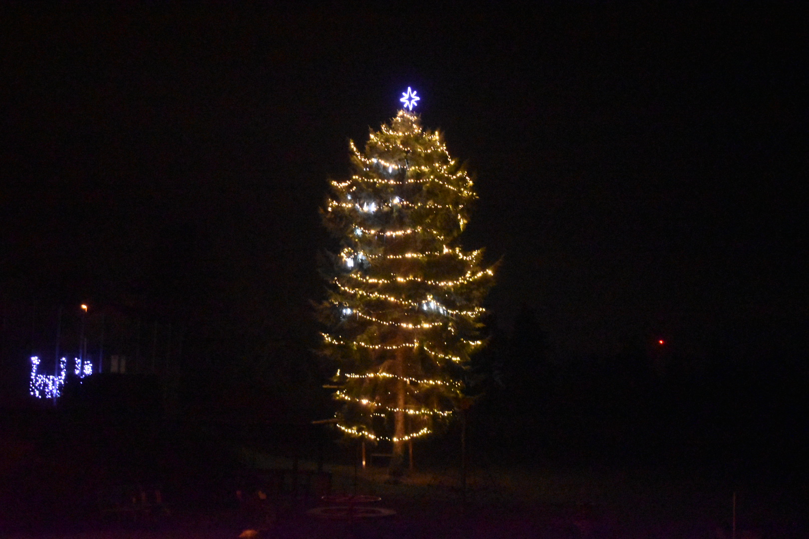 Vánoční anketa zná vítěze. Nejkrásnější strom Mostecka 2025 je v Korozlukách