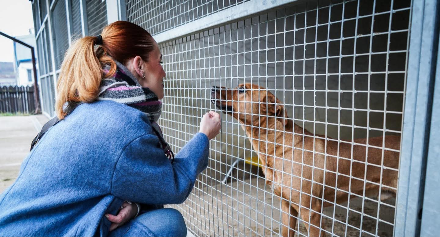 ZAJÍMAVOST: Vedení města podpořilo před Vánoci Městský útulek v Rudolicích