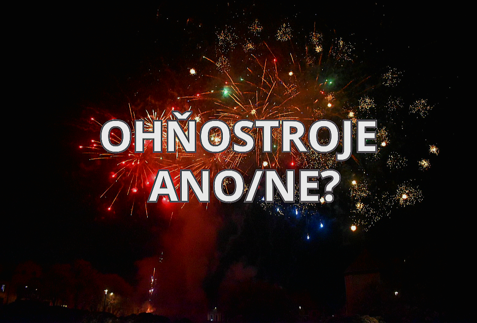 ANKETA: Silvestr bez ohňostrojů? Jak to vidíte vy?