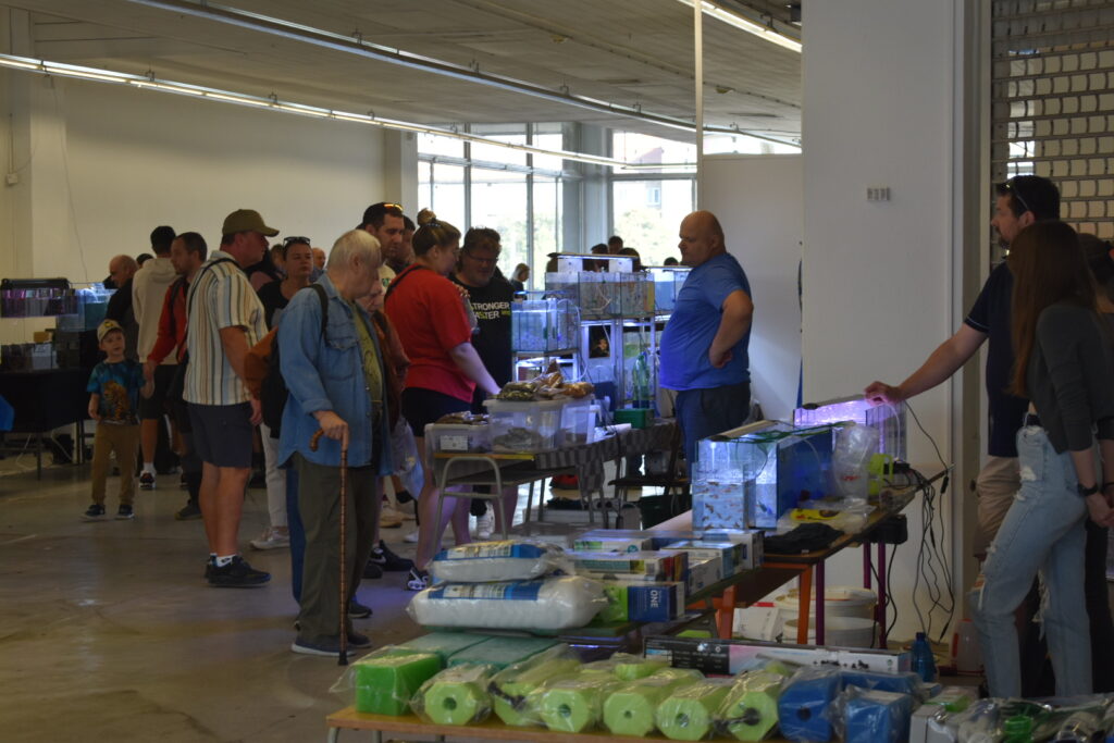 CHYSTÁ SE: Milovníci akvaristiky se sejdou v Mostě. Prior nabídne první trhy roku