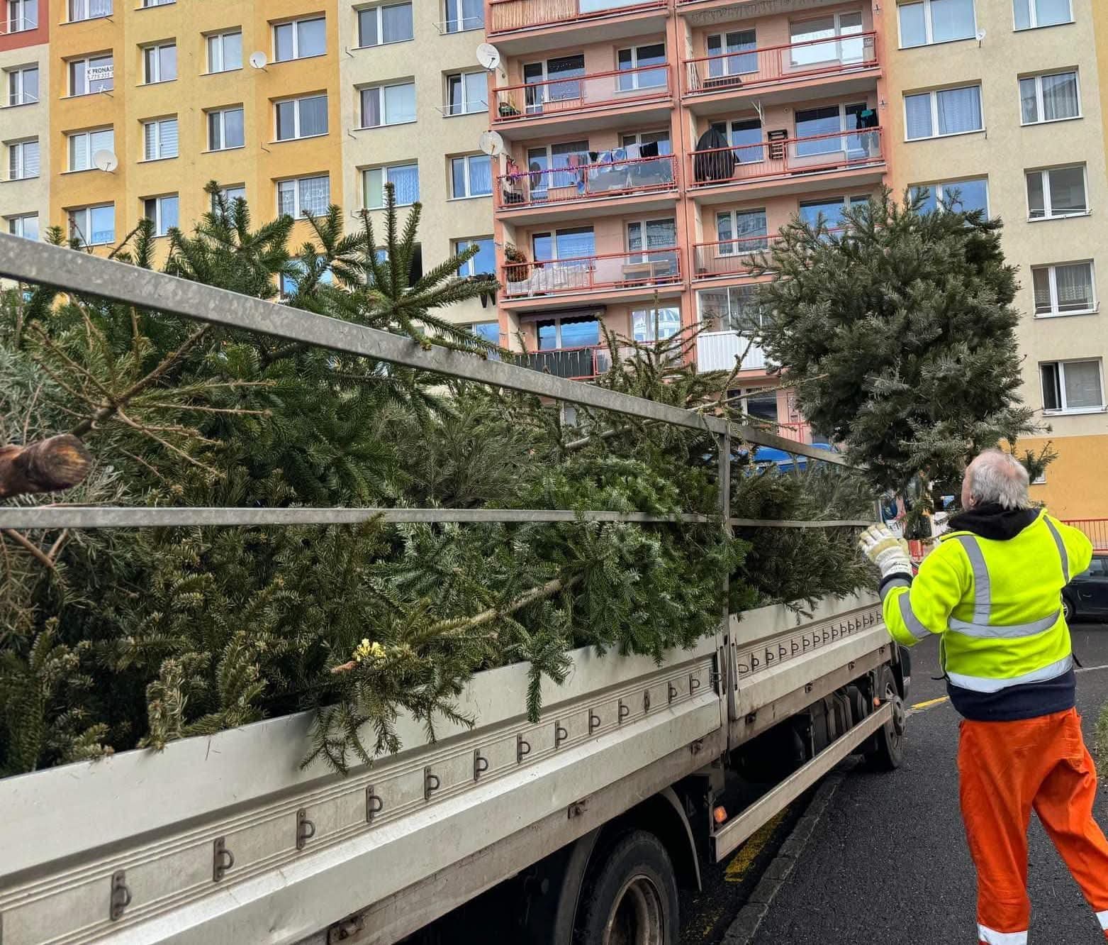 ZAJÍMAVOST: Vánoční stromky v Mostě dostanou druhý život. Svoz začne v pondělí!