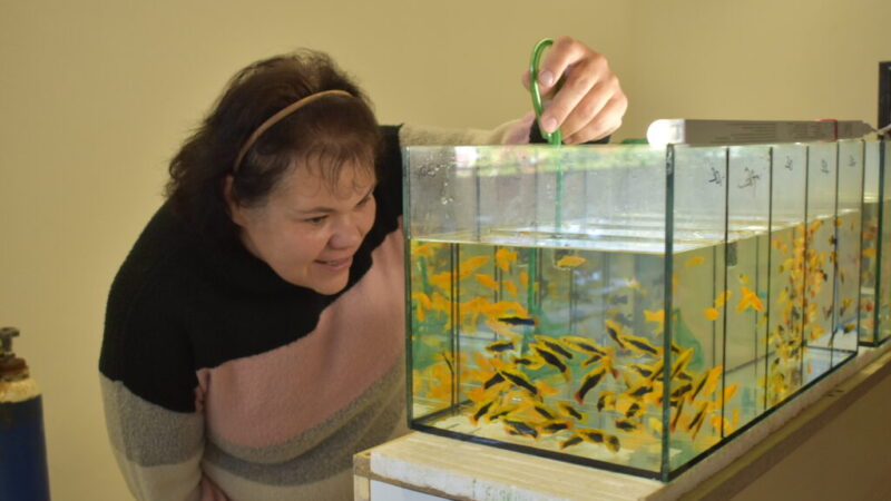 CHYSTÁ SE: Mostecké Akvatera trhy znají svůj letošní kalendář! Nejbližší termín je už tuto sobotu