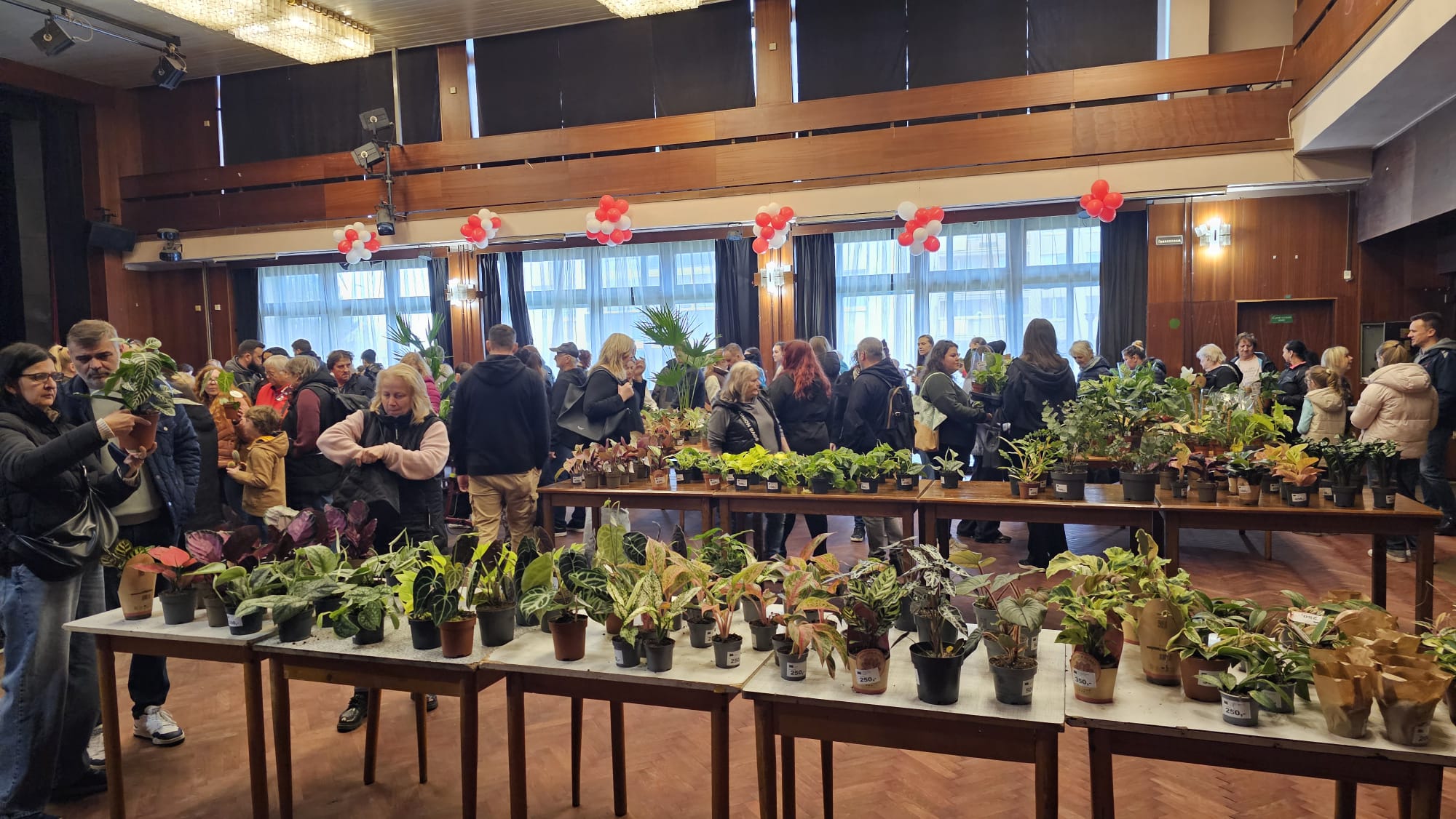 FOTO: Pokojové rostliny lákaly návštěvníky do mostecké Meduzy