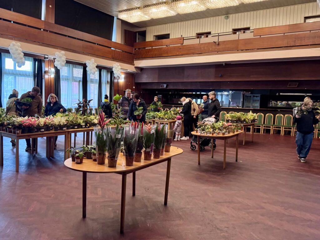 CHYSTÁ SE: Pokojové rostliny se vrací do Mostu! Prodejní setkání proběhne v kulturním domě Meduza