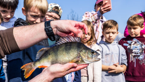 ZAJÍMAVOST: Řeka Bílina na jaře přivítala díky školákům nové rybí obyvatele
