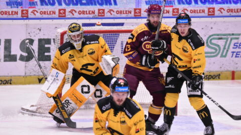 OBRAZEM: Litvínov je krok od záchrany! V Jihlavě jasně dominoval a vede už 3:0 na zápasy