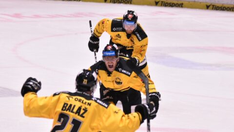 HOKEJ: Litvínov vydřel první bod v baráži. Rozhodlo prodloužení i dramatický závěr