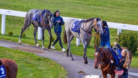 POZVÁNKA: Na mosteckém hipodromu odstartuje dostihová sezóna 2026