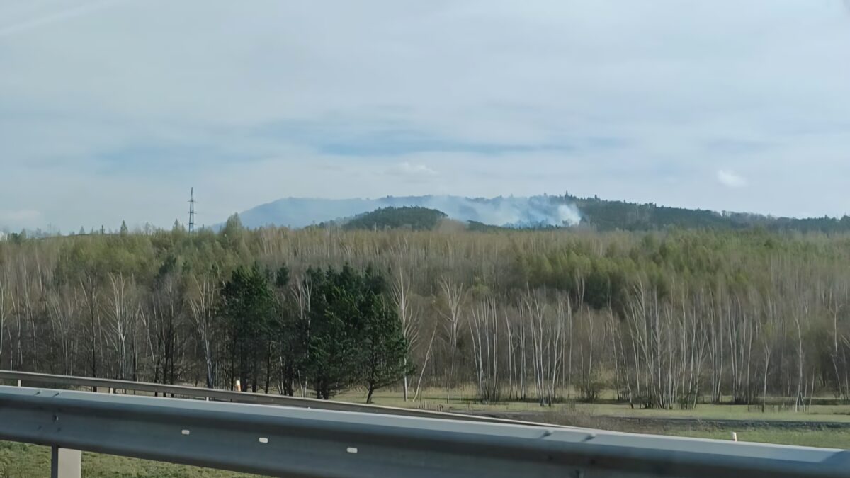 AKTUÁLNĚ: Hasiči právě zasahují u požáru lesa na Resslu v Mostě