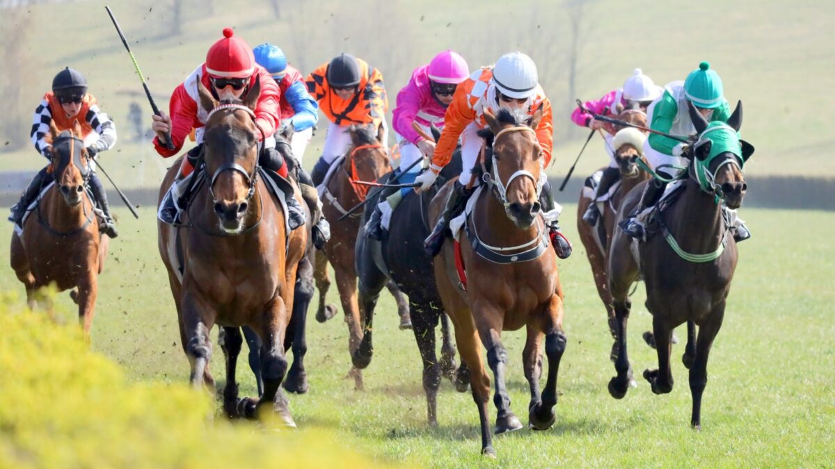 OBRAZEM: Memoriál Rudolfa Deyla otevřel na Hipodromu novou dostihovou sezónu