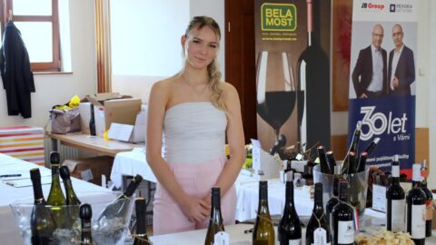 OBRAZEM: Milovníci vína zaplnili Benedikt při čtrnáctém ročníku Dnů vína