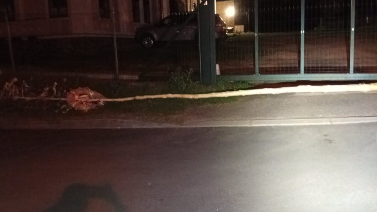 STALO SE: Neznámý pachatel pokácel májku v Souši. Symbol tradice skončil před hřbitovem. Místní ji vrátili zpět