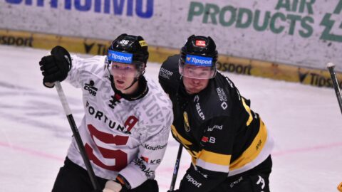 HOKEJ: Litvínov doma nestačil na Spartu. Čestný gól vstřelil Kaše