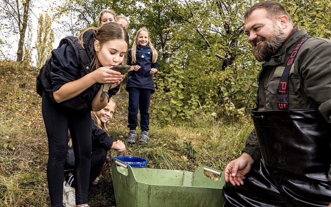 ZAJÍMAVOST: Mostečtí školáci pomohli vypustit do Bíliny téměř 800 kilogramů ryb