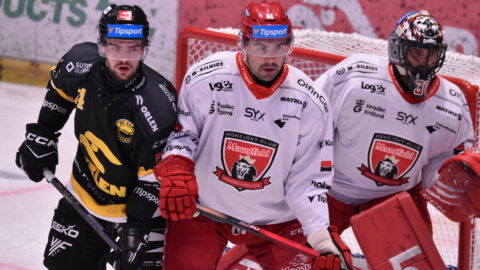 HOKEJ: Litvínov vstoupil do série domácích zápasů porážkou. Hradci Králové podlehl 1:4
